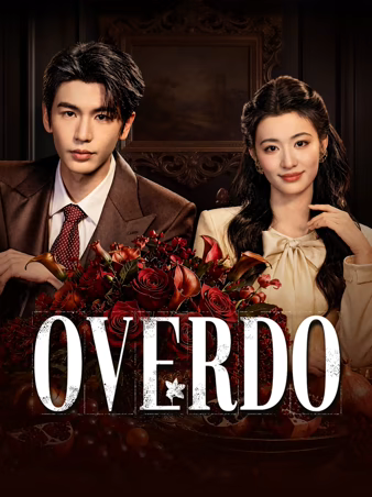 Poster Overdo